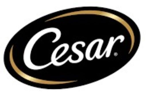 Cesar