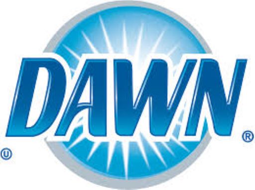 Dawn