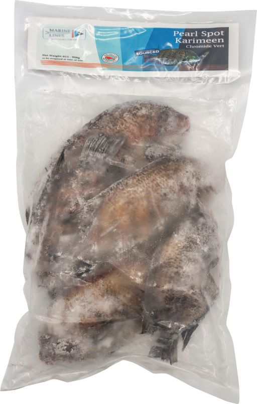 Marine Lines Pearl Spot/karimeen 1.5Lb