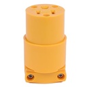 Electrical Socket 120v